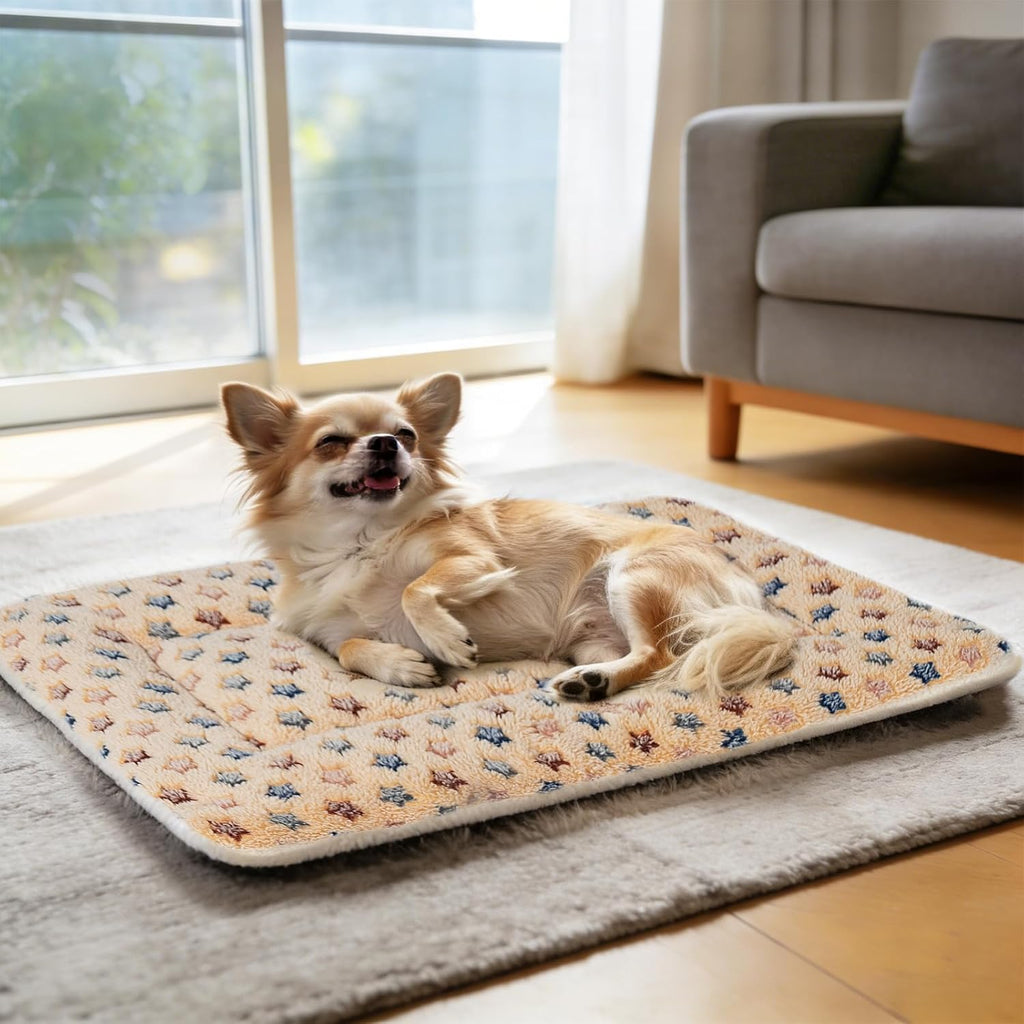 Dog Crate Pad - Ultra Soft Pet Bed with Cute Star Print, Washable Mat for Large Medium Small Dogs, Reversible Fleece Kennel Liner, Cat Bed 23 X 18 Inch Brown