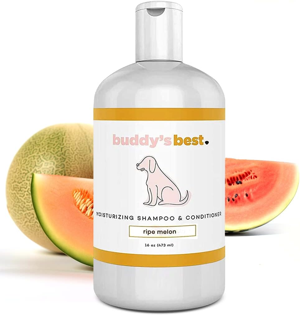 Dog Shampoo for Smelly Dogs - Skin-Friendly, Oatmeal Dog Shampoo and Conditioner for Dry and Sensitive Skin - Moisturizing Puppy Wash Shampoo, Calming Lavender Scent, 16Oz