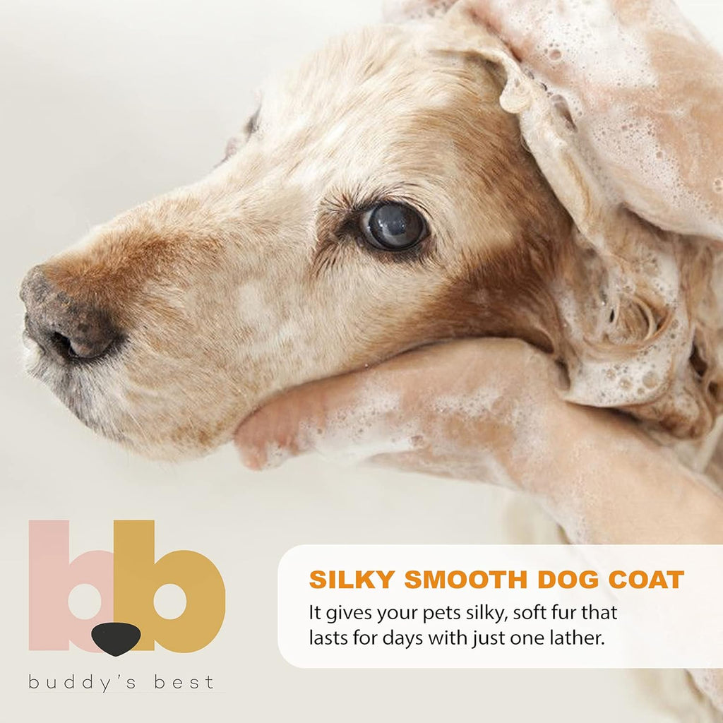 Dog Shampoo for Smelly Dogs - Skin-Friendly, Oatmeal Dog Shampoo and Conditioner for Dry and Sensitive Skin - Moisturizing Puppy Wash Shampoo, Calming Lavender Scent, 16Oz