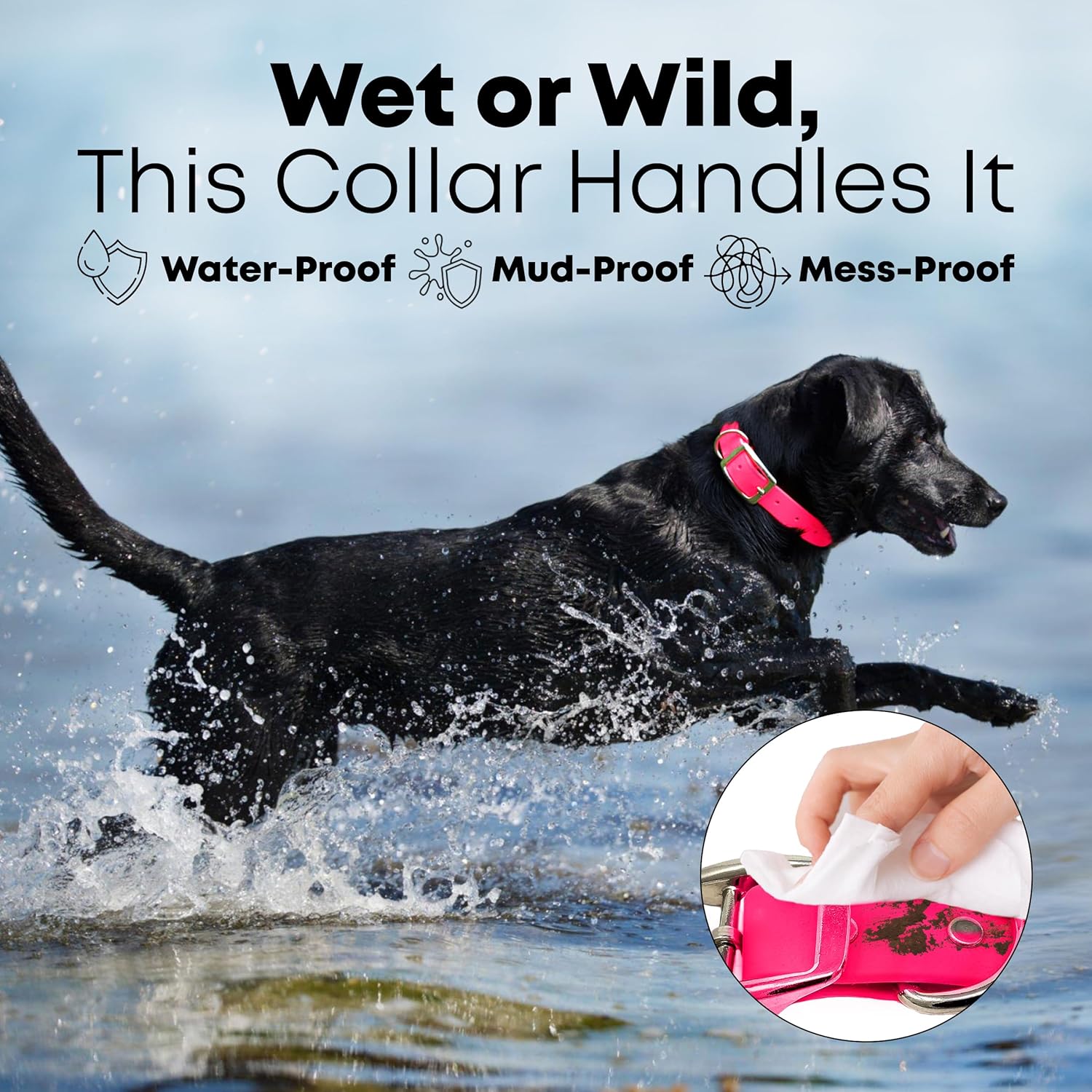 Medium Pink Dog Collar with Heavy Duty Double Buckle & D Ring | Vinyl Coated, Custom Fit, Adjustable Biothane Dog Collar | Chew Resistant Waterproof Collar for Dogs