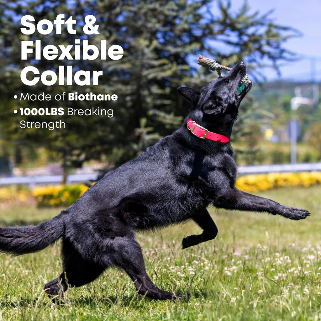 Medium Pink Dog Collar with Heavy Duty Double Buckle & D Ring | Vinyl Coated, Custom Fit, Adjustable Biothane Dog Collar | Chew Resistant Waterproof Collar for Dogs