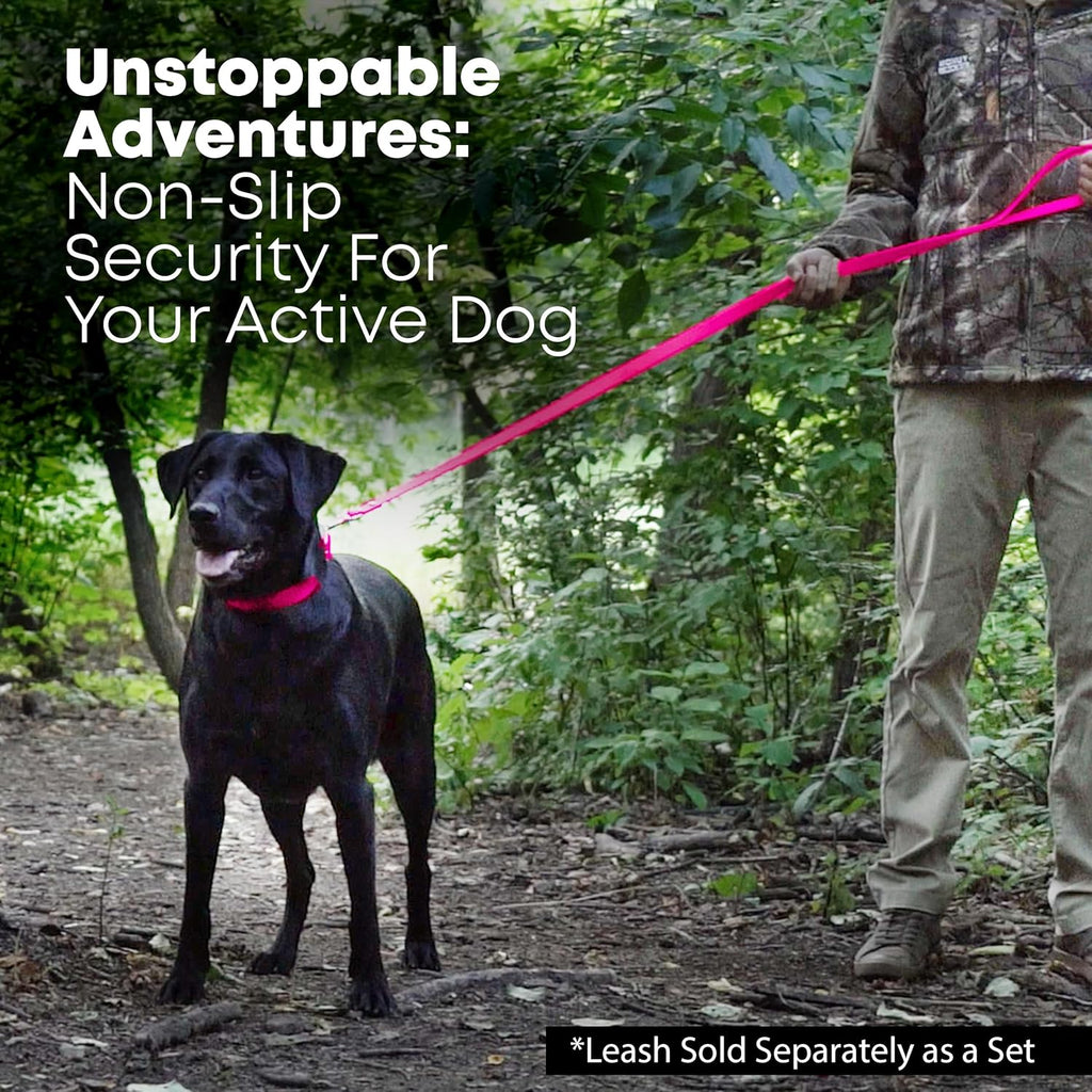 Medium Pink Dog Collar with Heavy Duty Double Buckle & D Ring | Vinyl Coated, Custom Fit, Adjustable Biothane Dog Collar | Chew Resistant Waterproof Collar for Dogs